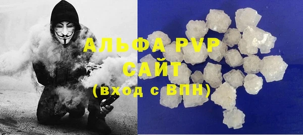 индика Кукмор