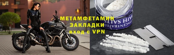прущие грибы Куйбышев