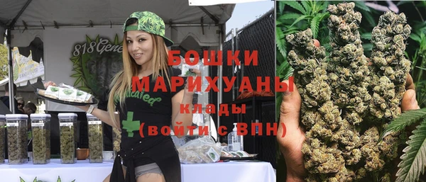 прущие грибы Куйбышев