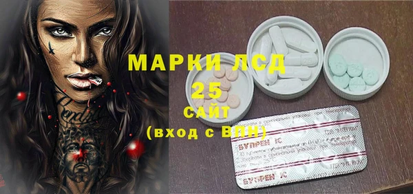 индика Кукмор