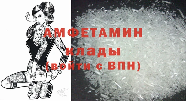 прущие грибы Куйбышев