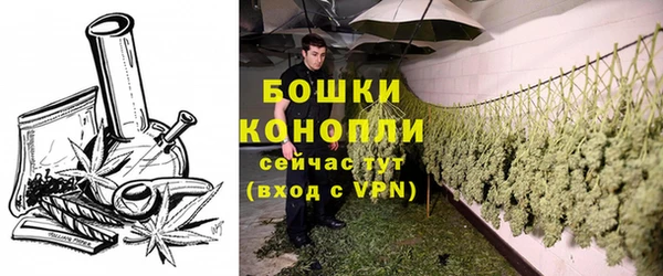 прущие грибы Куйбышев