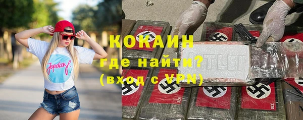 индика Кукмор