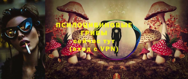 прущие грибы Куйбышев