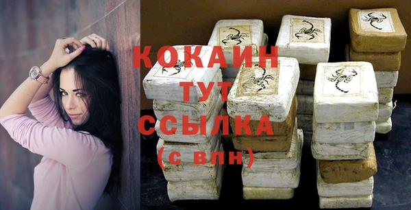 прущие грибы Куйбышев
