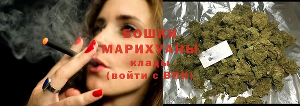 индика Кукмор