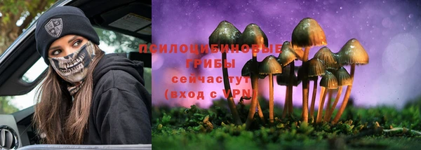индика Кукмор